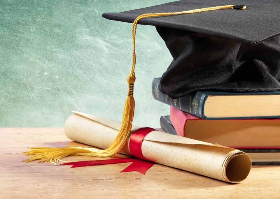 Mavi Diploma Nedir?